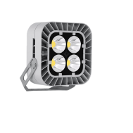 Прожектор диодный линзованный для спортивных объектов Ферекс FFL-sport 06-460-957-F40
