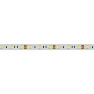 LED лента теплого свечения с широким шагом посадки диодов Arlight RT-B60-10mm 12V Warm3000 14.4 W/m IP20 5060 5m арт.028583(2)