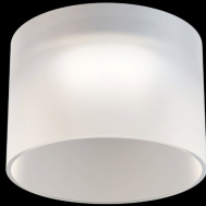 Круглый потолочный встраиваемый светильник под лампу GU10 MAYTONI Pauline DL047-01W d80x88мм (4251110060606)