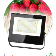 Фитопрожектор для растений светодиодный полного спектра ЭРА FITO-100W-Ra90-LED 100 Вт арт. Б0047876