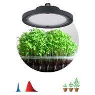Фитосветильник LED для растений светодиодный подвесной ЭРА FITO-50W-RB-LED-UFO красно-синего спектра 50Вт IP65 арт.Б0053280