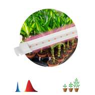 Светильник LED для растений FITO-10W-Т5-RB-Slim красно-синего спектра 10 Вт Т5 арт.Б0057401