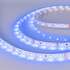 Светодиодная лента гибкая голубого свечения низковольтная Arlight RT 2-5000 12V Blue 3528 300 LED LUX 4.8 Вт/м IP20 010523(1)
