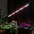 Светильник для растений светодиодный линейный полного спектра 18вт ЭРА FITO-18W-T5- Ra90 гар. 2 года арт.Б0049313